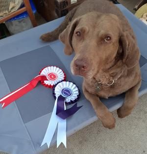 Bea with her rally rosettes